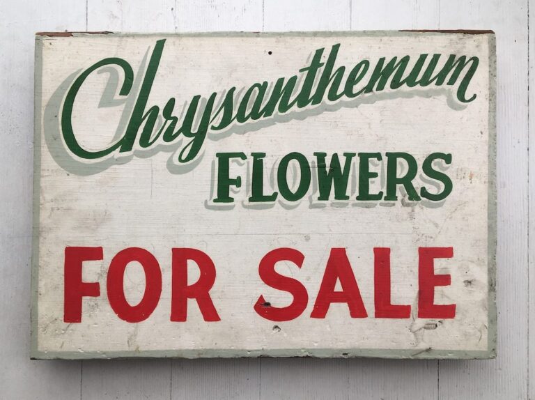 Painted sign "Chrysanthemum Flowers for Sale"