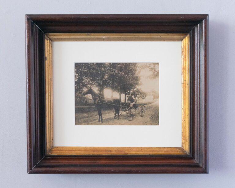 Antique photograph of a young man driving a horse-drawn buggy