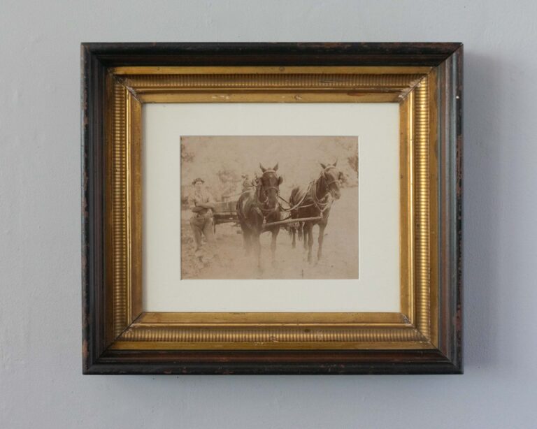 Antique photograph of a farmer with a two-horse team, wagon and two boys