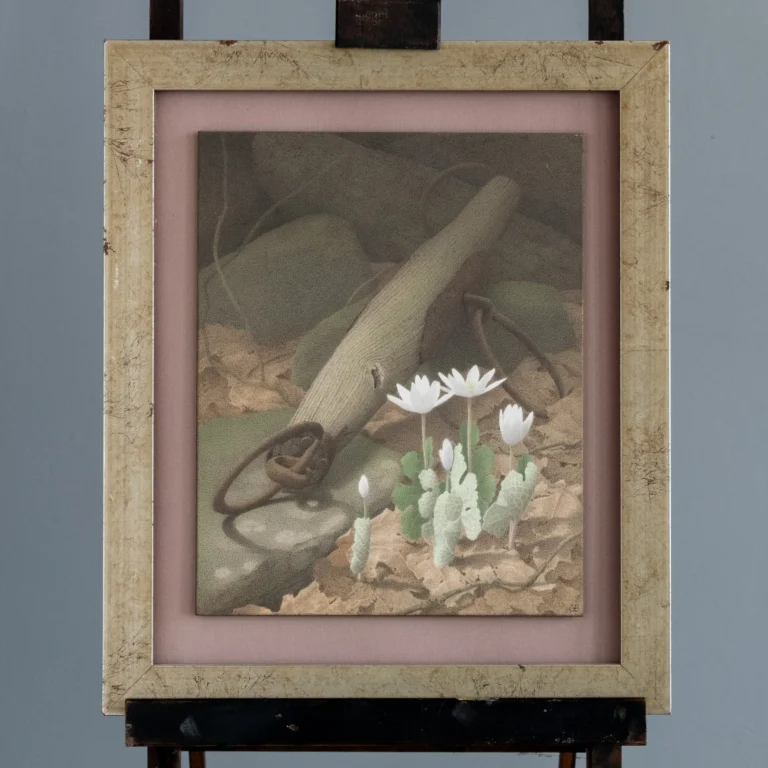 Gail Bunting egg tempera painting of bloodroot