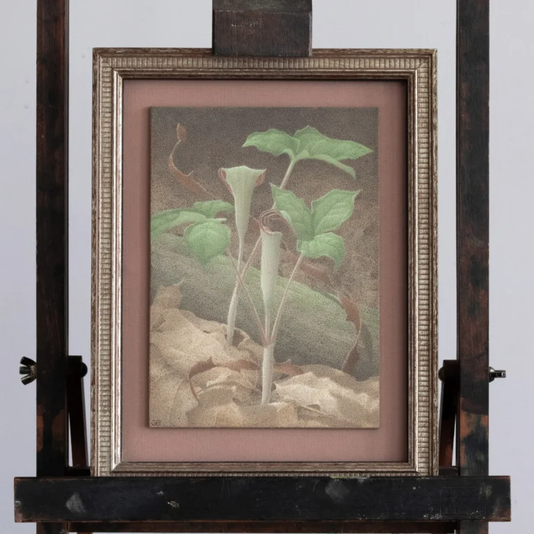 Gail Bunting egg tempera painting, Jack in the Pulpit
