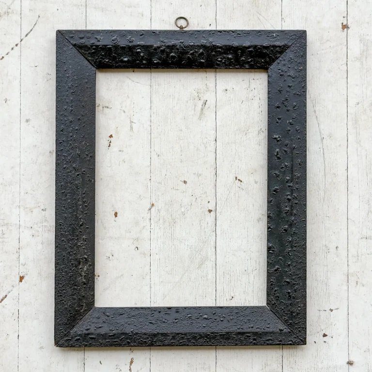 alligatored picture frame