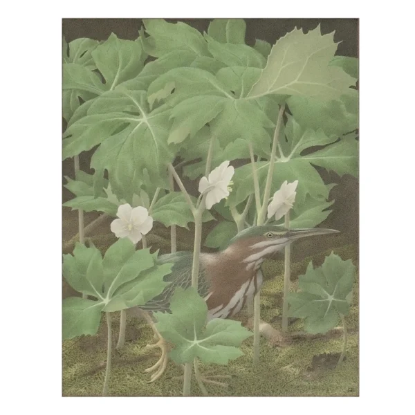 Gail Bunting Egg Tempera Painting, "Green Heron in Mayapple"